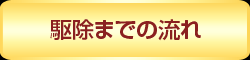 駆除までの流れ