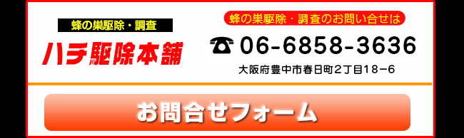 蜂の巣駆除のハチ駆除本舗 お問合せフォーム