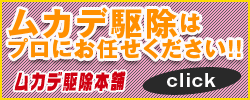 ムカデ駆除はこちら