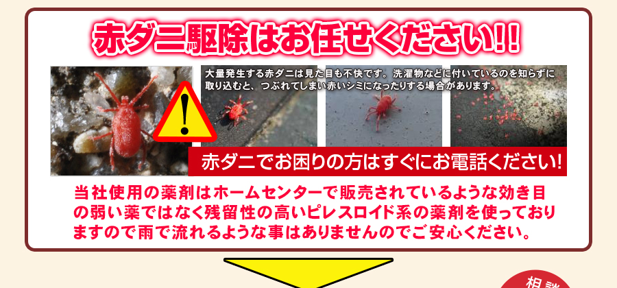 赤ダニ駆除はプロにお任せください