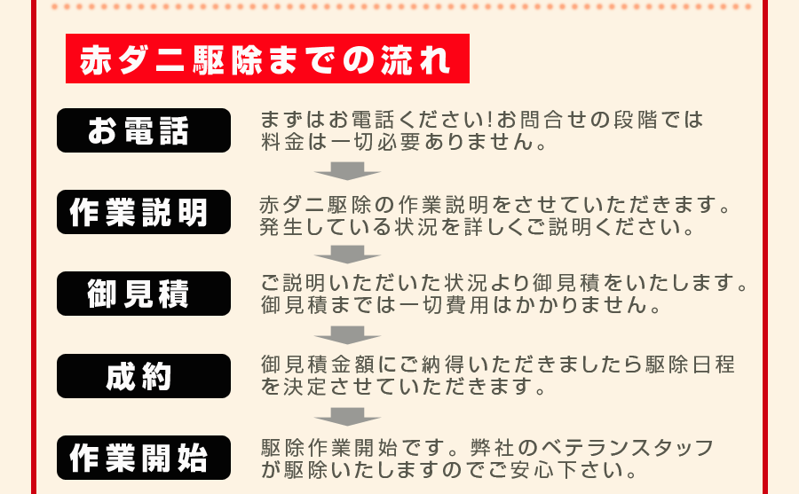 赤ダニ駆除までの流れ