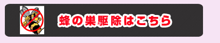 蜂の巣駆除はこちら