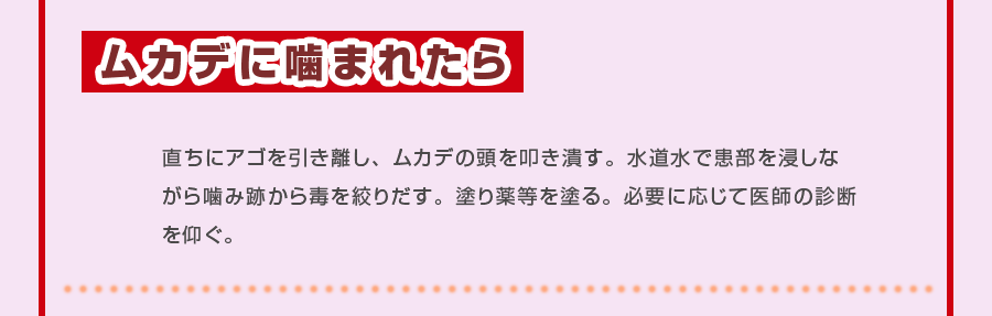 危険！ムカデに噛まれたら