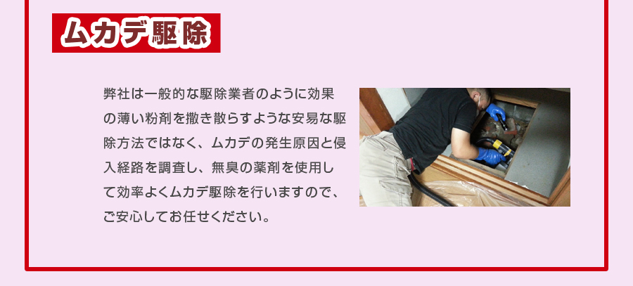 ムカデ駆除とは