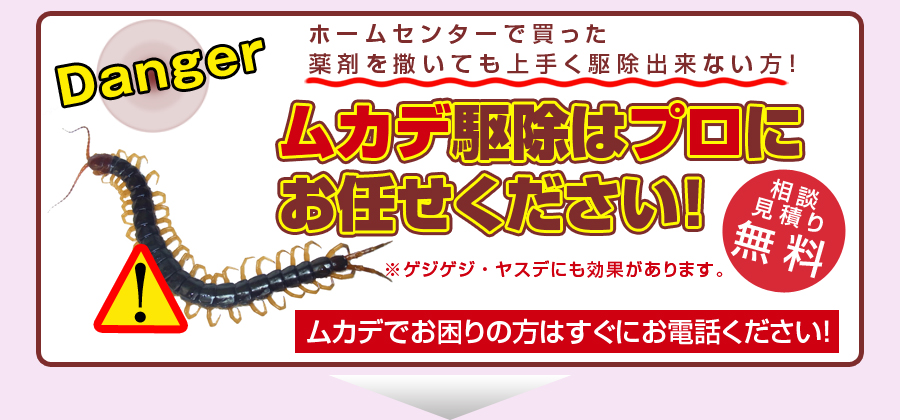 ムカデ駆除はプロにお任せください