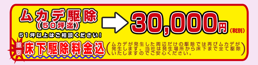 危険！ムカデ駆除は専門業者におまかせ下さい。