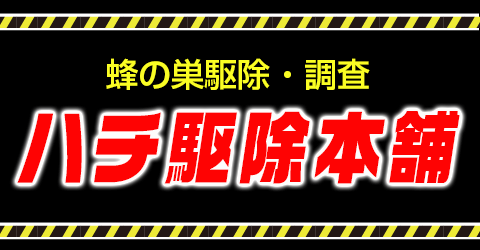 蜂の巣駆除はハチ駆除本舗